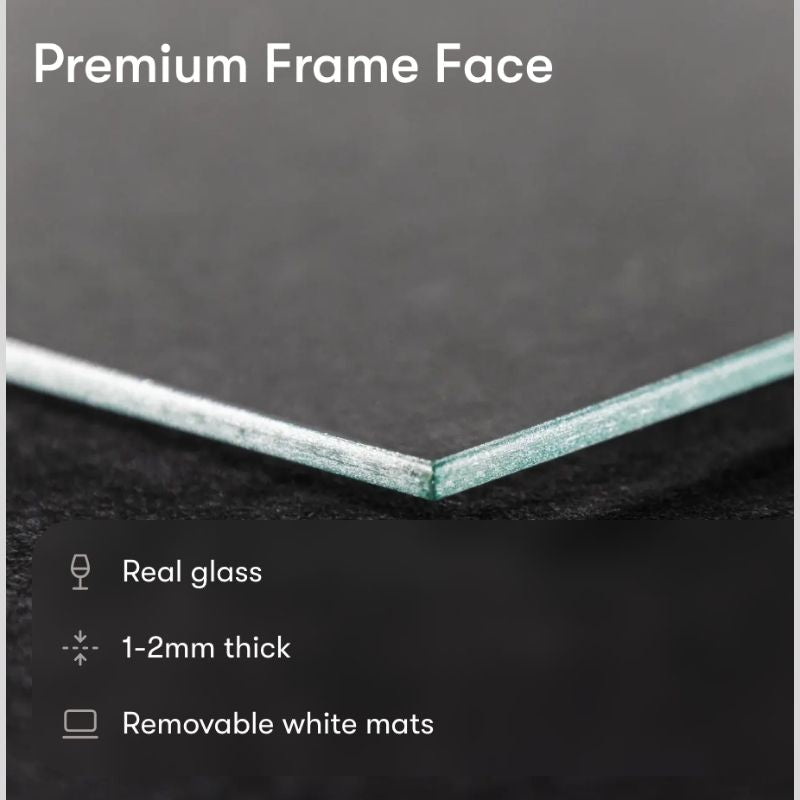 The Home Collection™ - The Blueprint